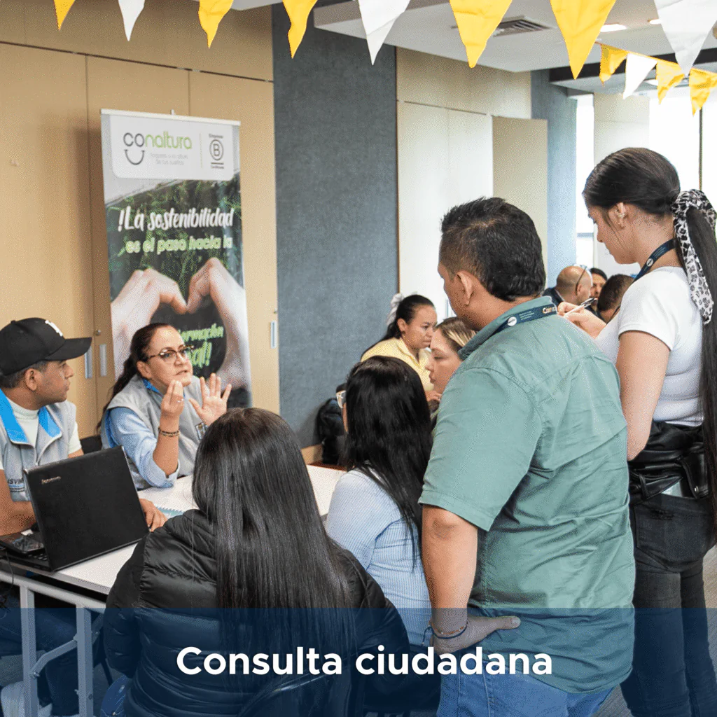 5 CONSULTA